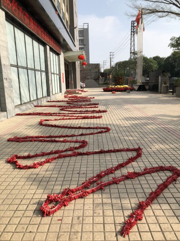 春节快乐！开工大吉！Back to work after Chinese New Year(图5)
